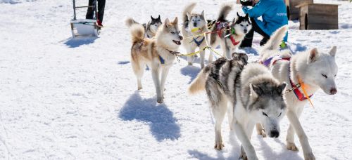 Activités à Gourette