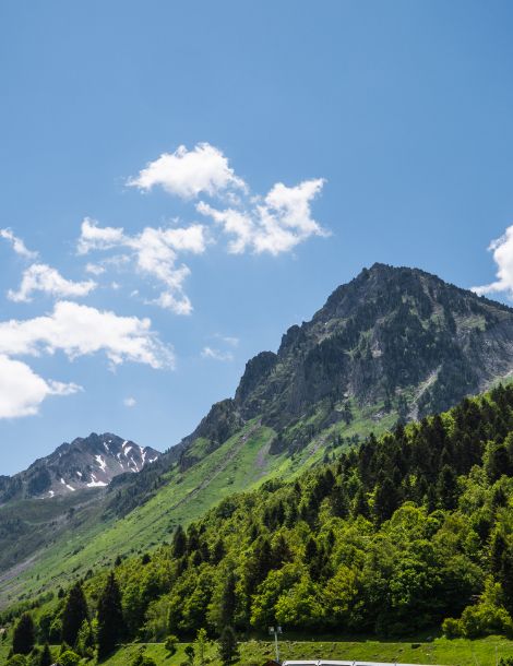 Forêt Laquette Ayre Lienz