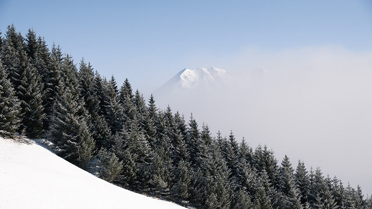 nouveauté  luz ardiden detecteur victime avalanche