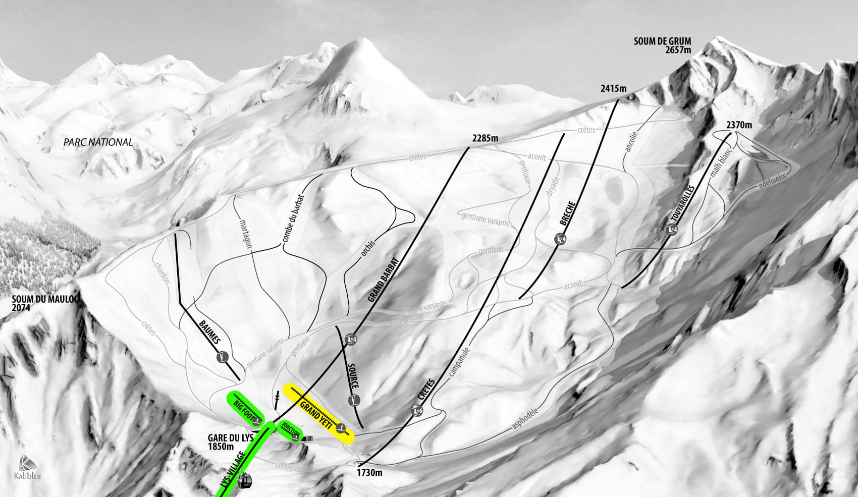 carte flex cauterets débutant