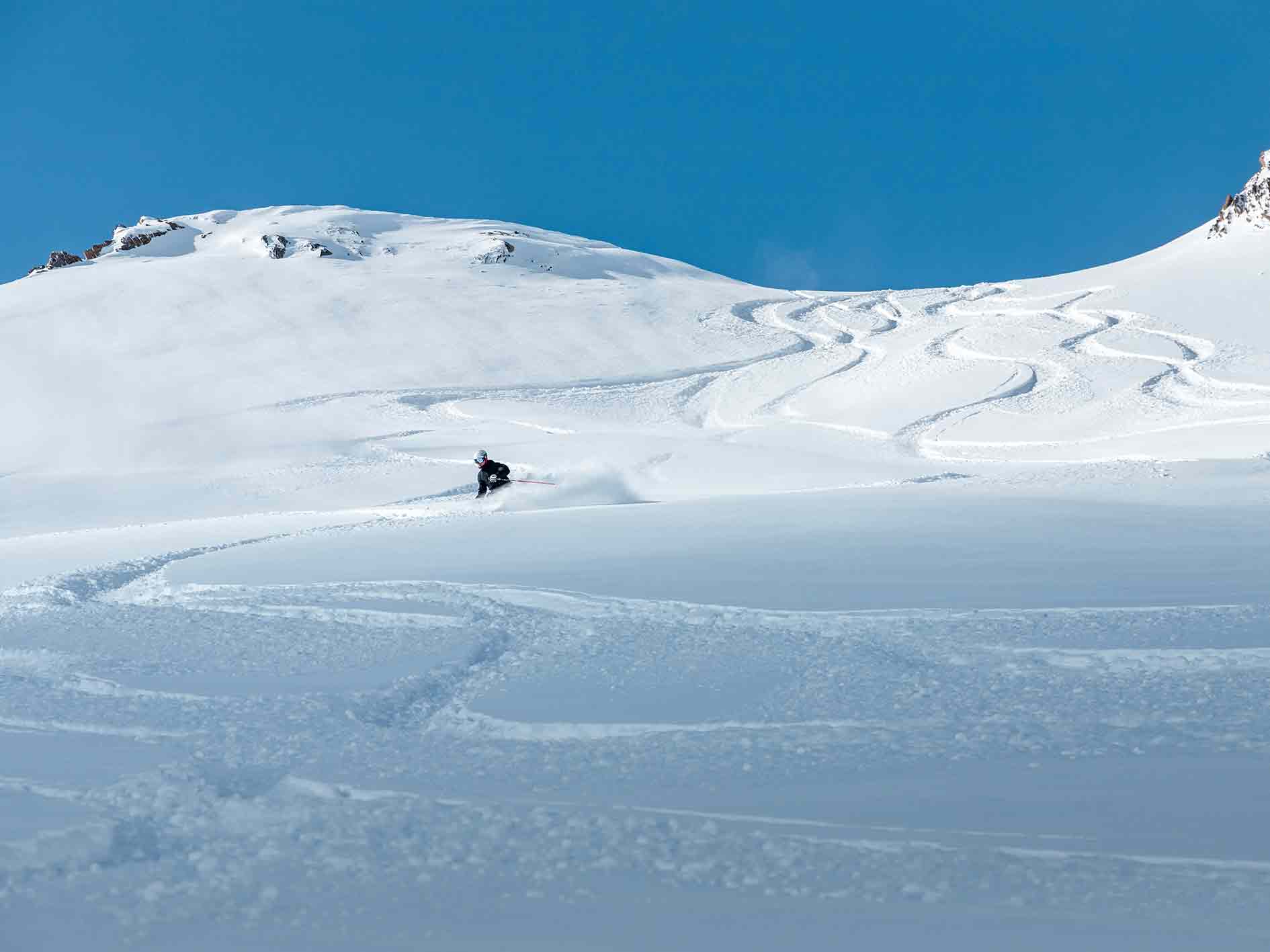 neige au lys