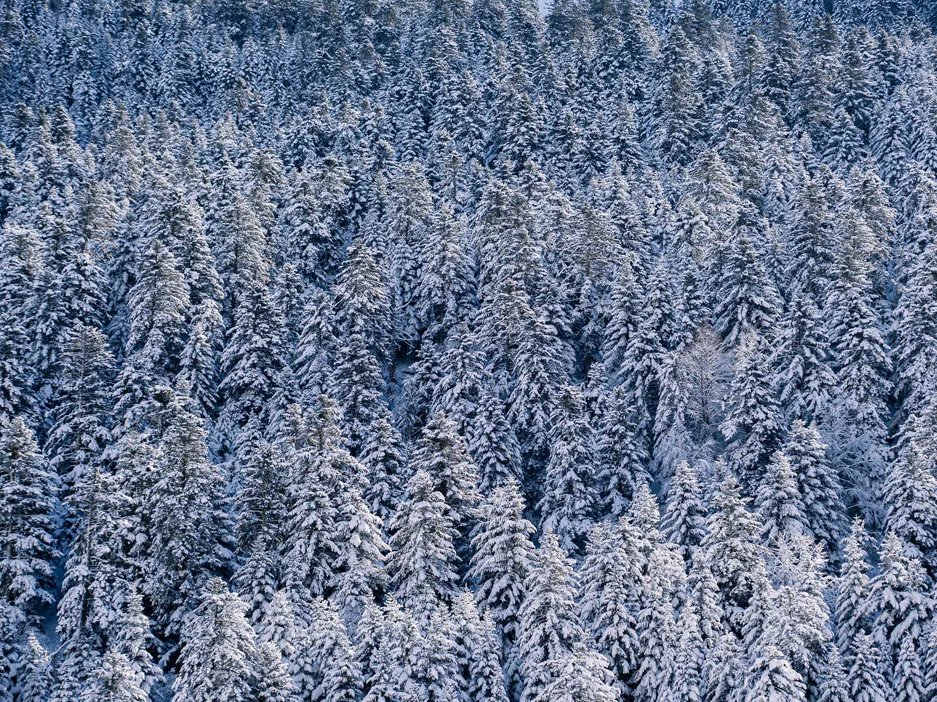 neige au grand tourmalet