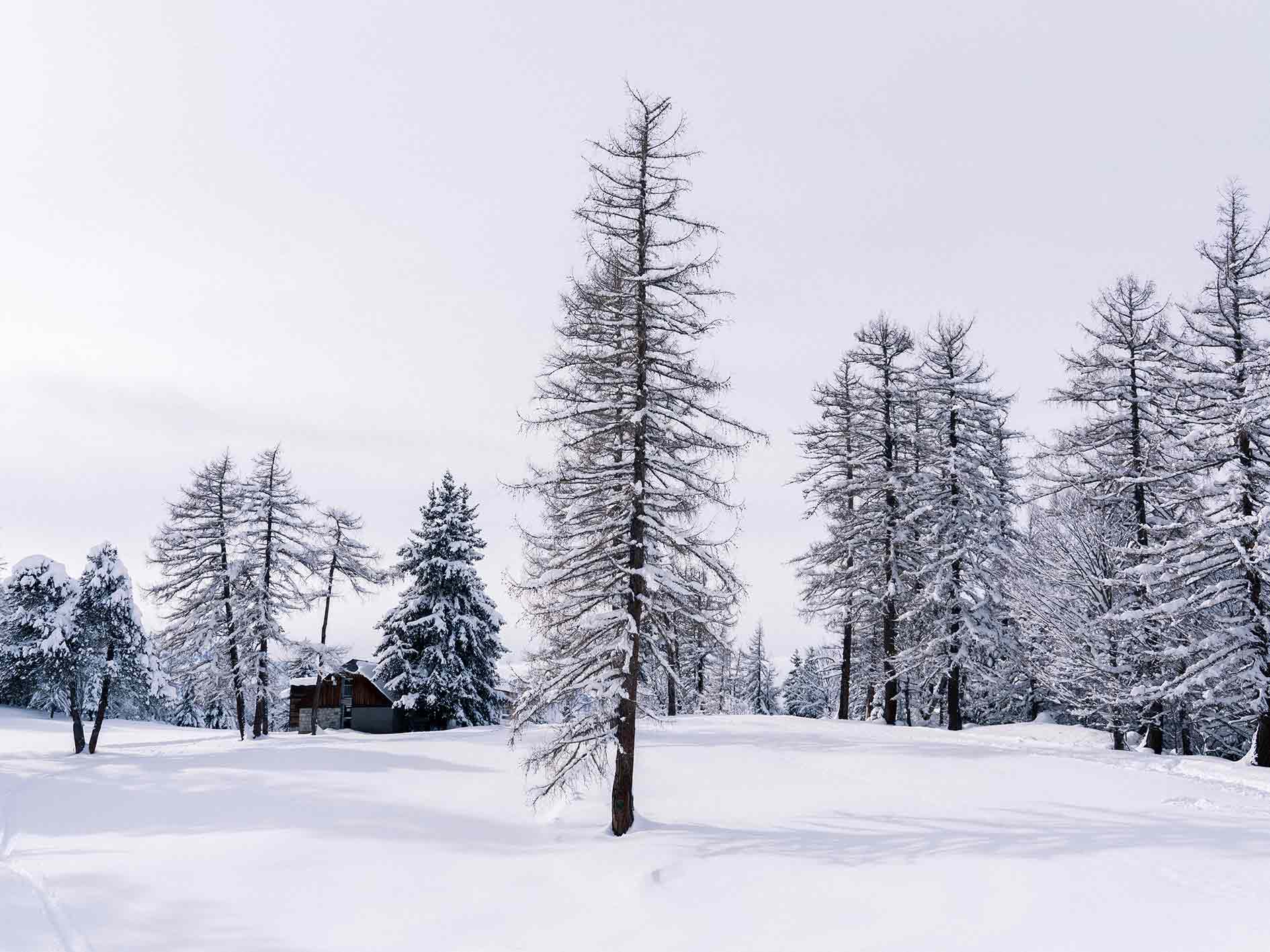 neige au grand tourmalet