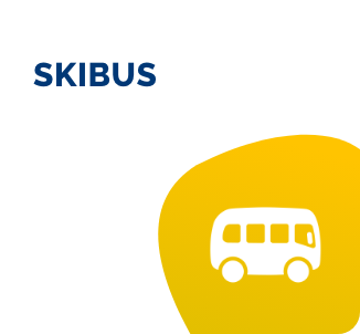 skibus pyrenees npy