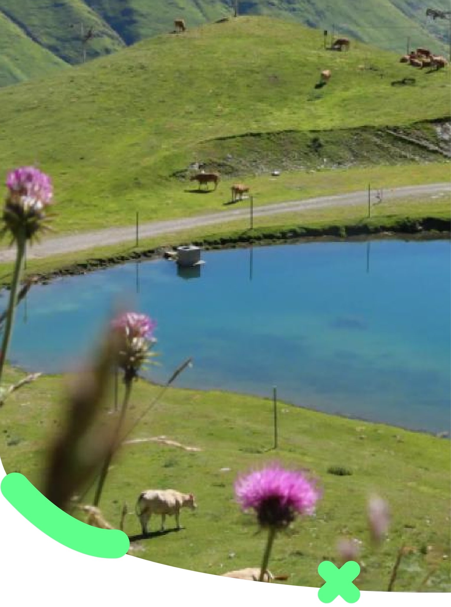 Randonnée au sentier des marmottes