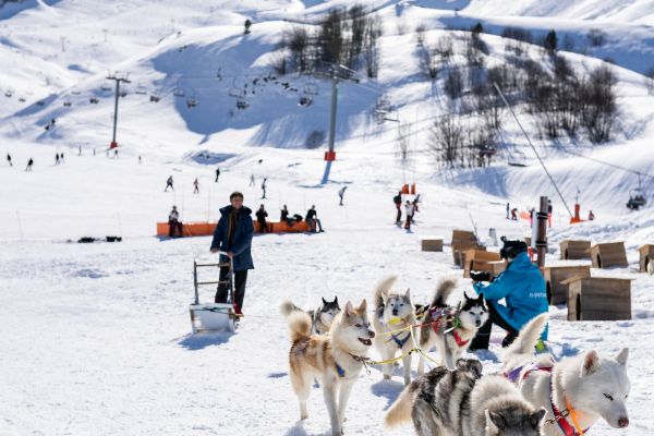 chiens traineaux gourette