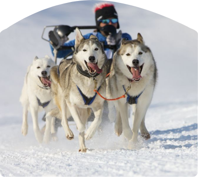 reservation ski pyrénées activités