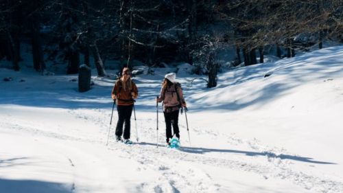 raquettes-neige