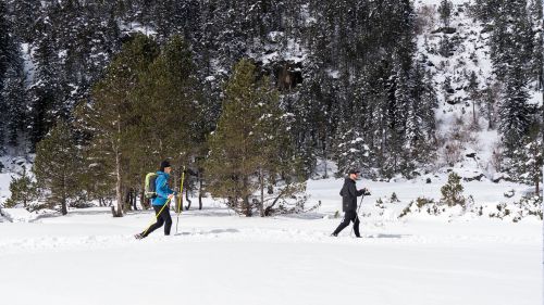 balade-luge-raquette