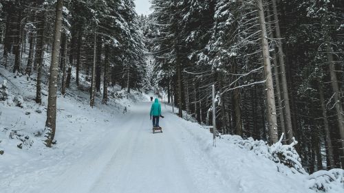 luge-pyrenees