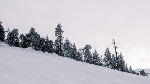 piste-luge