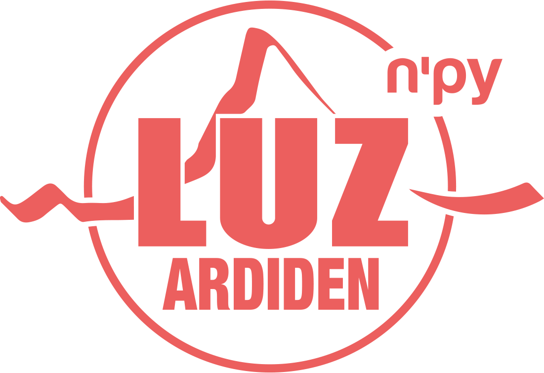 logo luz-ardiden x npy