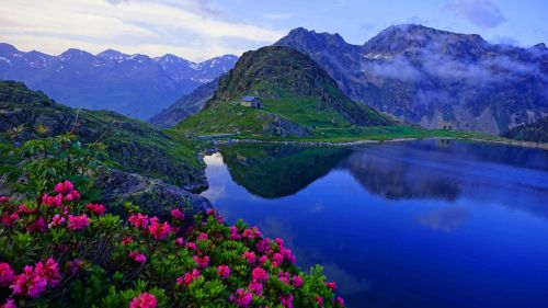 nlac-pyrenees