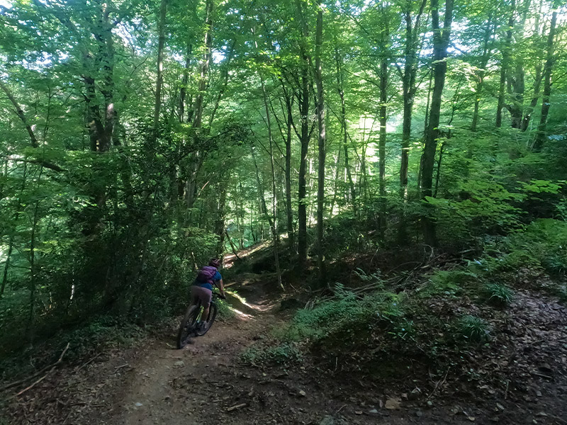 Sortie VTT enduro