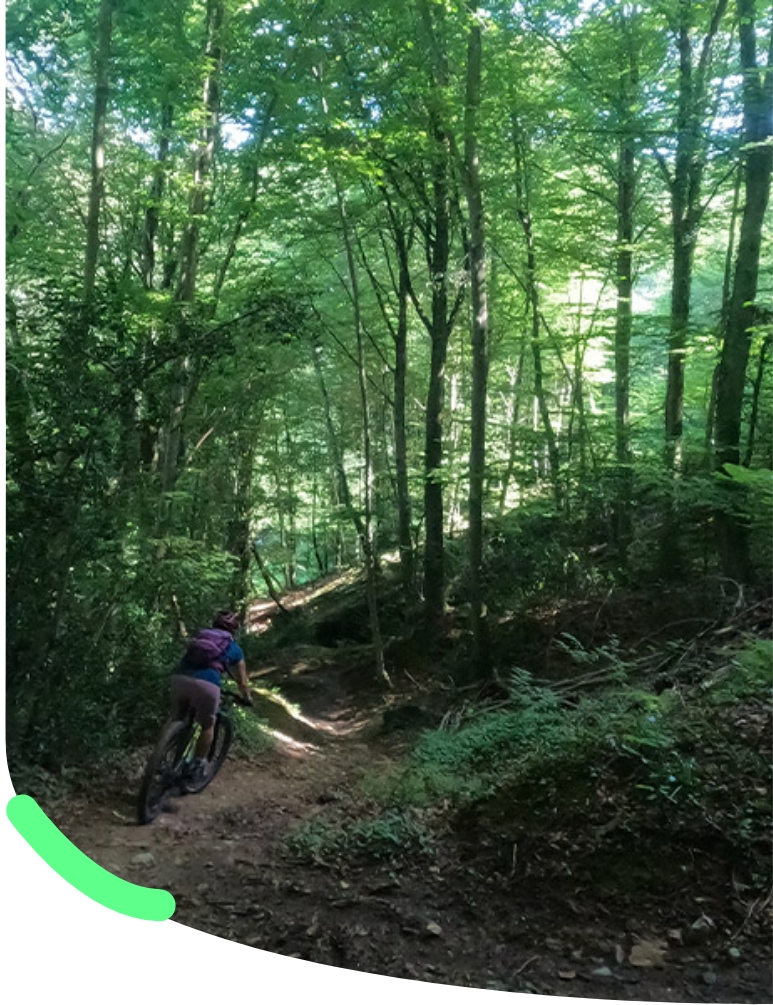 vtt enduro