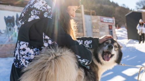 caresses-chiens-hiver