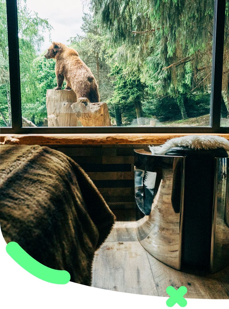 parc animalier des pyrénées