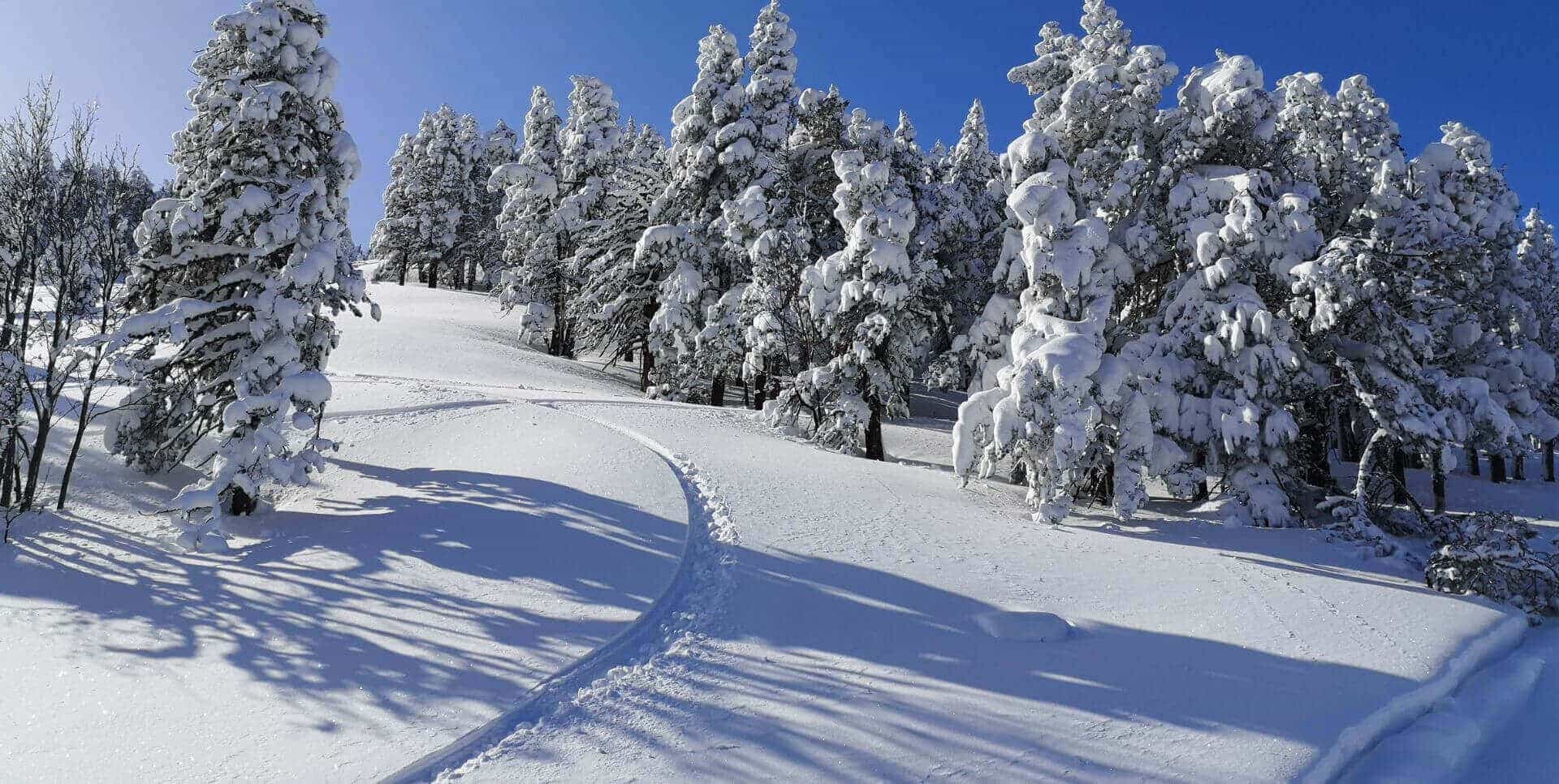 trace ski neige fraiche