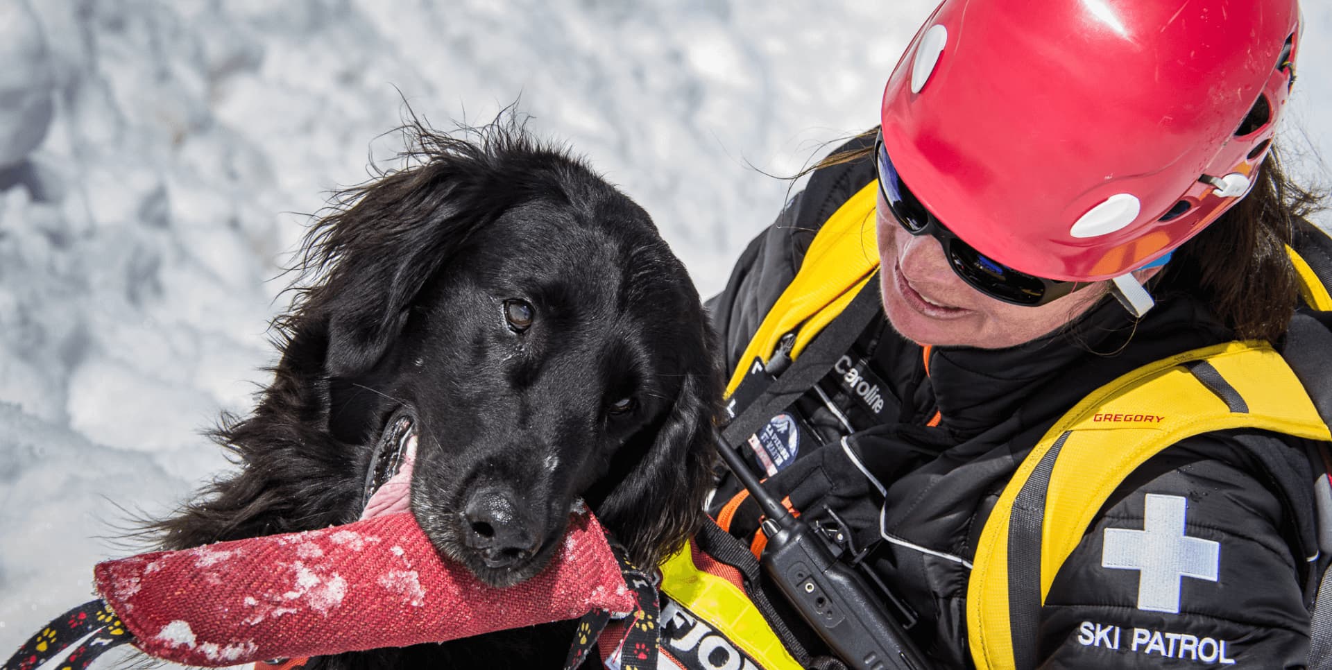 gestes secours chiens avalanches