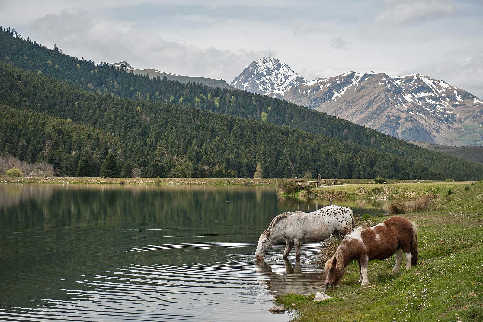 lac de payolle lac de payolle