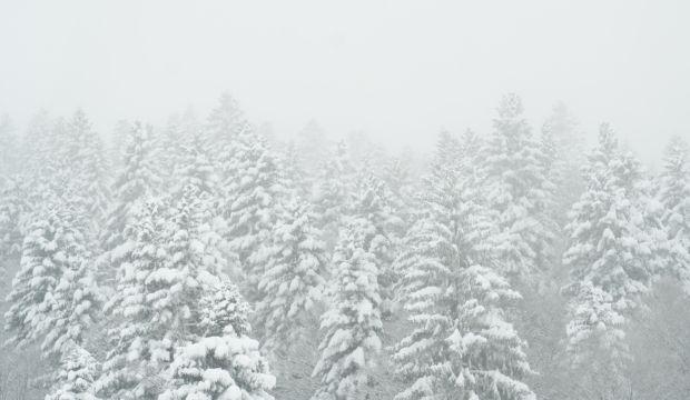 brouillard-ski