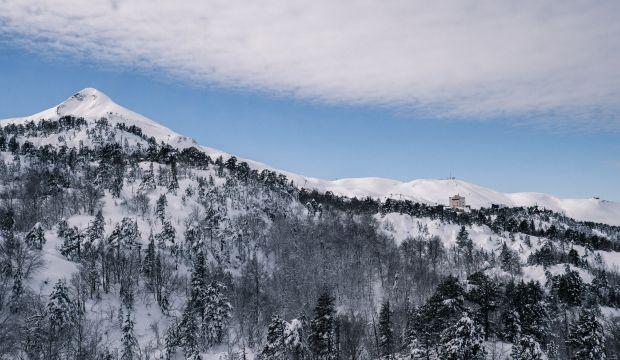 ou skier sapins