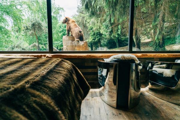 parc animalier des pyrénées