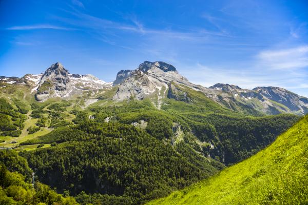 trail en été à gourette n'py trail en été à gourette n'py