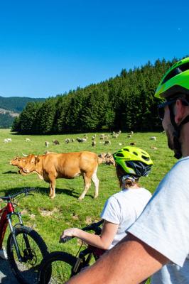 VTTAE la mongie grand tourmalet