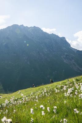 debutant bike park tourmalet