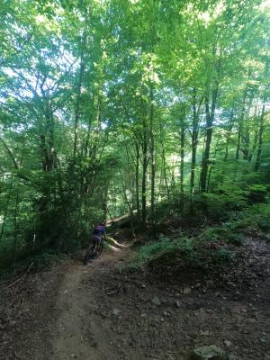 VTT enduro