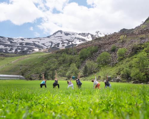yoga piau engaly