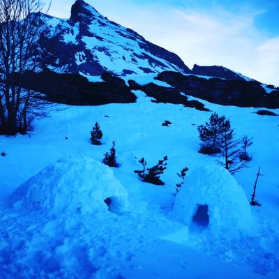 Nuit insolite en igloo - L'Aventure Nordique