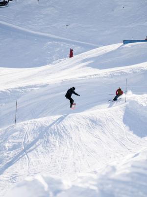 bosse ski piau