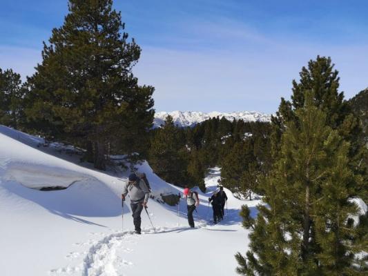 Randonnées à raquettes accompagnées - Pyrénées Trekking